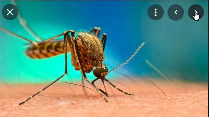 20th august -  world mosquito day - theme - history