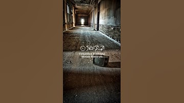 اية من سورة التكاثر || القارئ بشار سراج