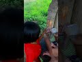 Breastfeeding Monkeys #babymonkeyvideos #monkey #howtomakeeggrice #howtomakechickenathome