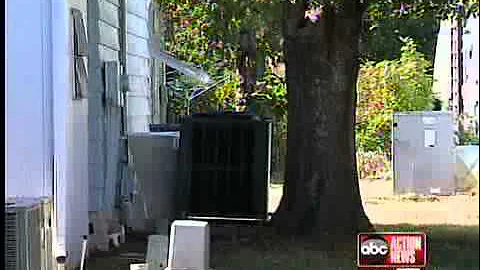 City won't allow damaging tree to be cut down