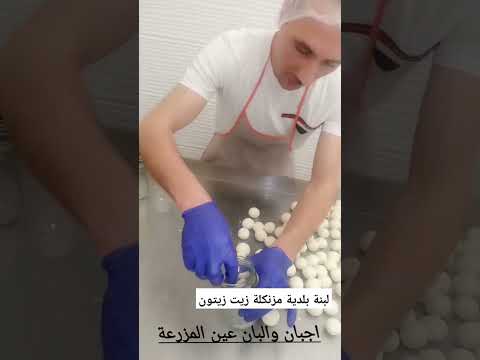 سوريا لبنان السعودية الرياض الكويت قطر عمان الاردن الامارات لبنة بلدية