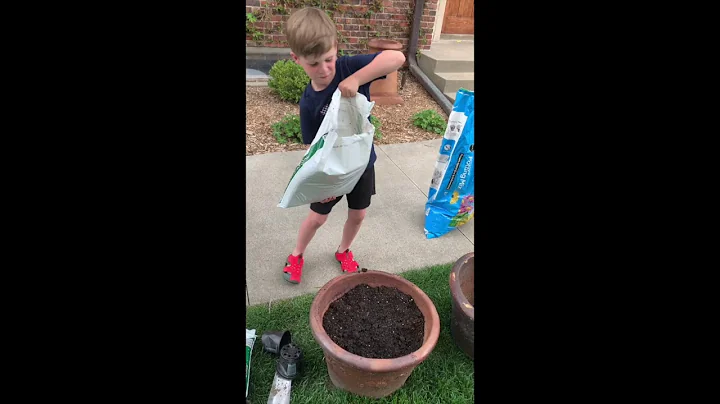 How To Series: How to Plant a Flower in a Pot