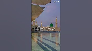 ارح قلبك وروحك وسمعك بآيات من الذكر الحكيم