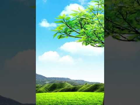 Amaga Aro Nabate Damaragospel Gospel