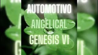 Automotivo angelical genesis v1 (Slowed   Reverb)@tsk.4