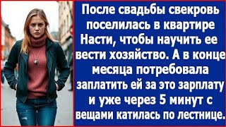 видео: После свадьбы свекровь поселилась в квартире Насти и потребовала платить ей за это зарплату картинка: После свадьбы свекровь поселилась в квартире Насти и потребовала платить ей за это зарплату