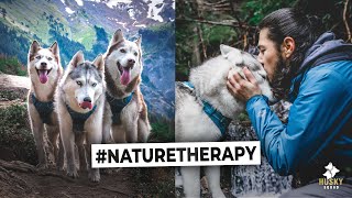 Mountain Hiking With Dogs | Husky Squad