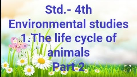 Std. - 4th, lesson number 1, EVs, the life cycle of animals, environmental study