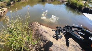 Bowfishing with the Mini Striker Pistol Crossbow
