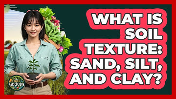 What Is Soil Texture: Sand, Silt, And Clay? - The World of Agriculture