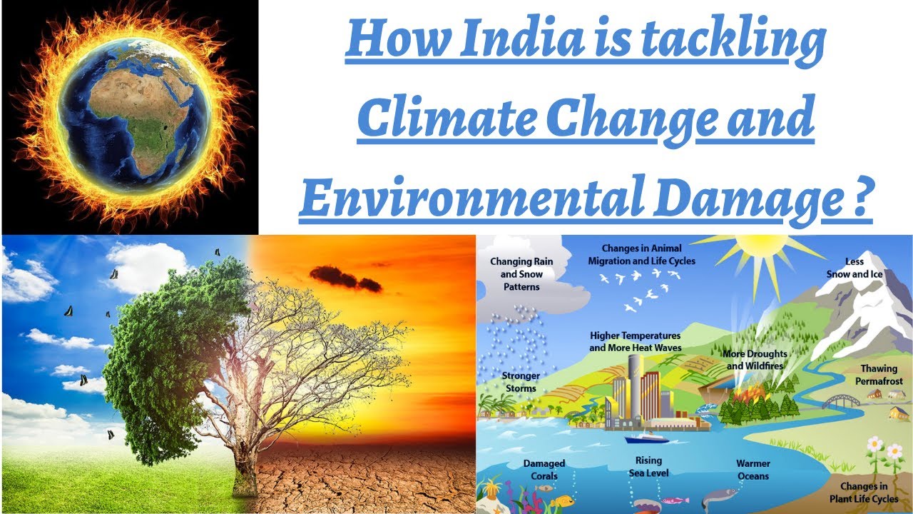 steps-taken-by-india-to-combat-climate-change-environmental-damage