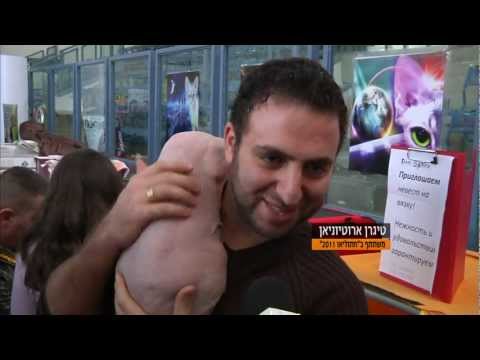 חדר החדשות - תערוכת חתולים