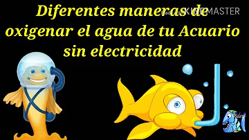 ¿Cómo puedo añadir oxígeno al agua de mis peces?