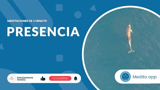 Meditación de 1 minuto sobre la presencia