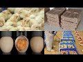 Vacinas na criação de galinhas🐤🐥🐔🐓 - Parte 1