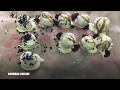 Oreo balls  how to make it