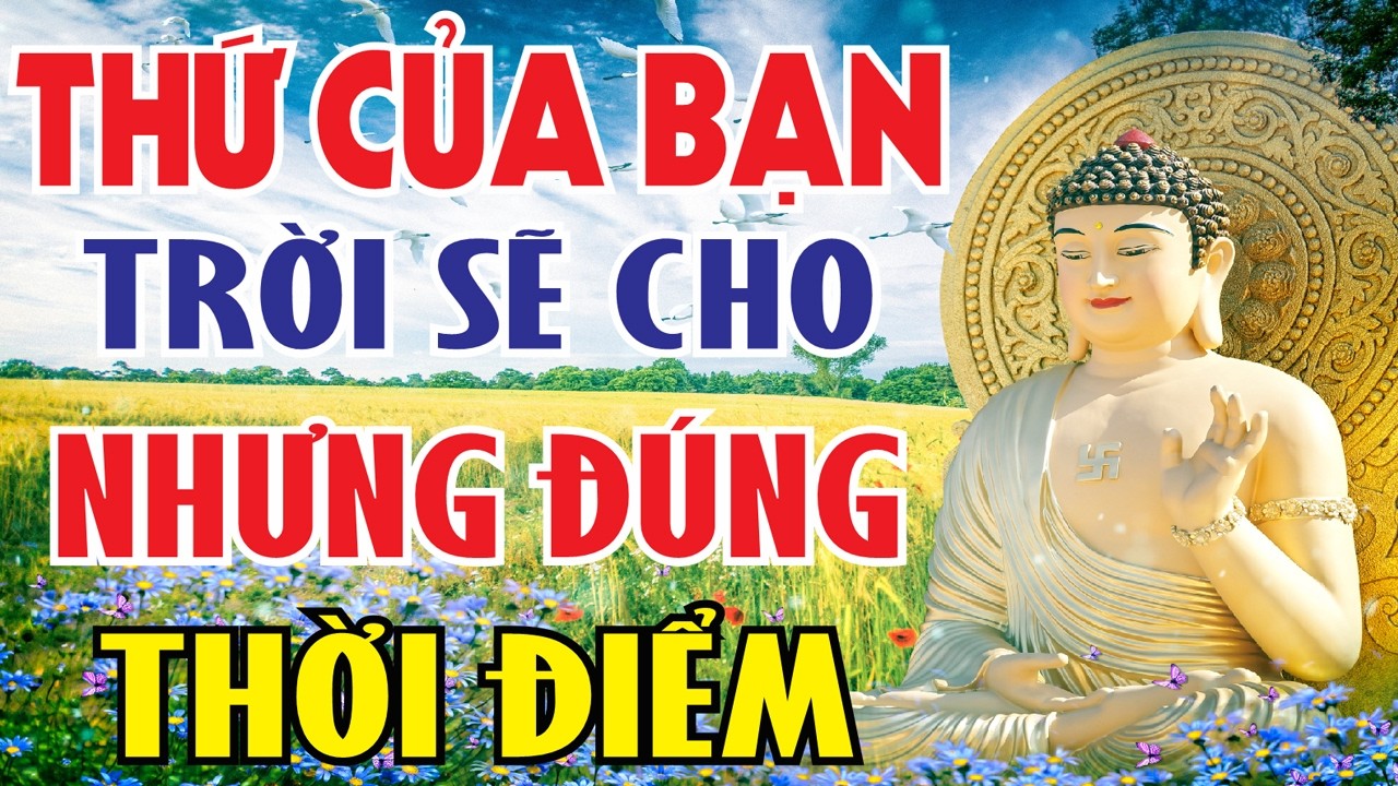 Tin Vào Nhân Quả, Mọi Thứ Đều Đúng Thời Điểm.