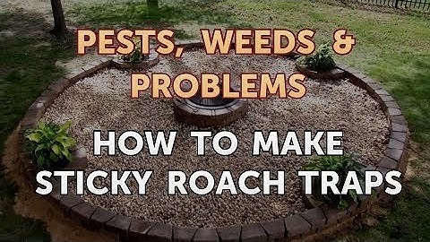 How to Make Sticky Roach Traps