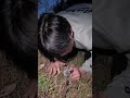 【羽田慎之介】芝生をタッピングしてみた　#羽田慎之介 #asmr
