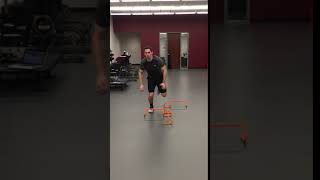 SL Multi-Directional Hurdle Hops continuous