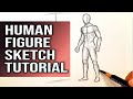 How to draw human figure sketch drawing   sketching tutorial for beginners art techniques  basics