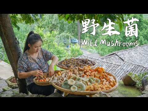 Chinese Mushroom Varieties