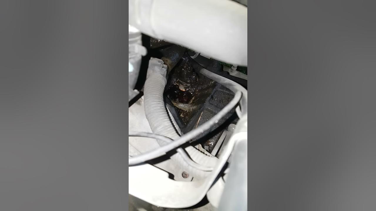 Please help with 2001 Toyota Camry Oil Leak - YouTube