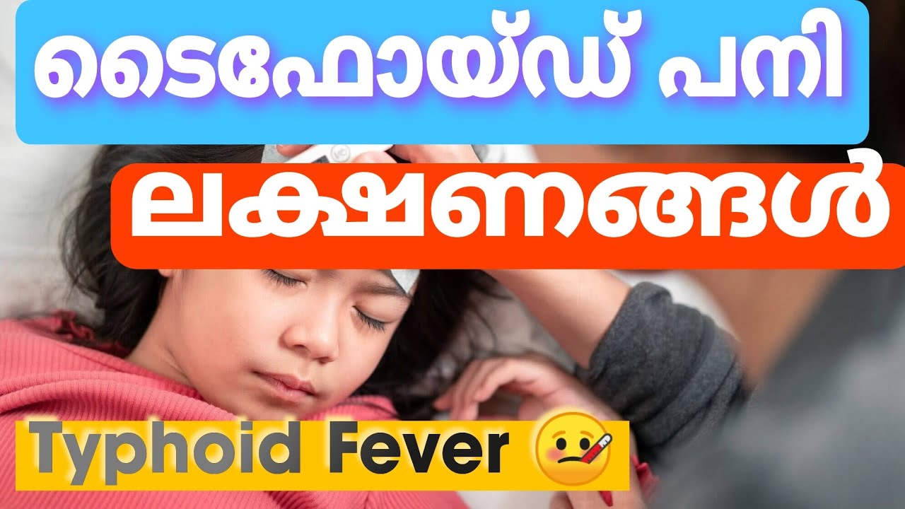 Typhoid fever symptoms malayalam | High fever reasons | Widal test | child fever
