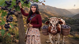 Garden to Table | Traditional Cooking & Authentic Village Life screenshot 4