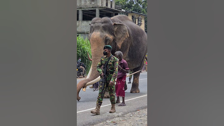 නැවත යළි නොදකින මේ තේජාන්විත ගමන.. කවුද බලන්න මේ මහ මඟ වඩින්නේ...සාදු සාදු සාදු හැඟීම් බර #kandy