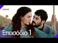 Hercai   1