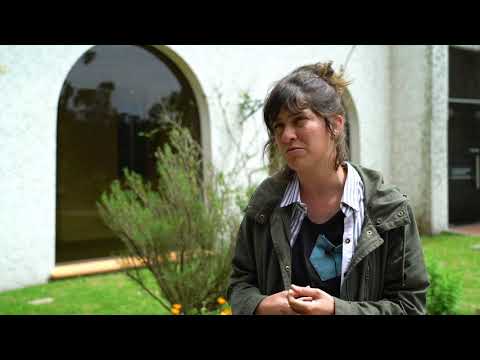 Presentan programa de integración laboral en Montevideo