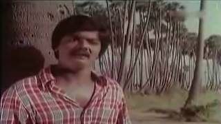 Video thumbnail of "சோலை புஷ்பங்களே | Solai Pushpangale | Gangai Amaran, P. Susheela"