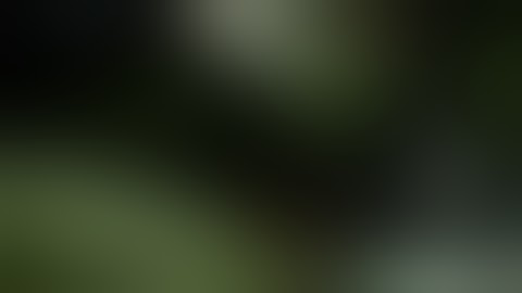 Bionic Commando Xbox 360 Trailer - Arm Lab Trailer