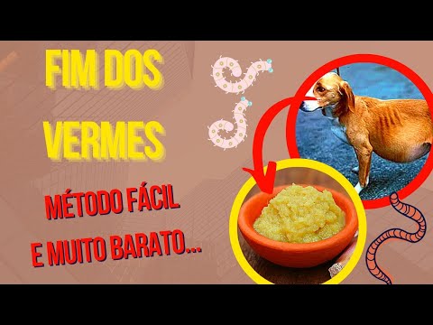 Vídeo: O diário de um viciado em comida de pug