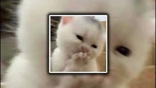 beauty and the beat - Justin Bieber ft. Nicki Minaj [ sped up   tiktok version ]