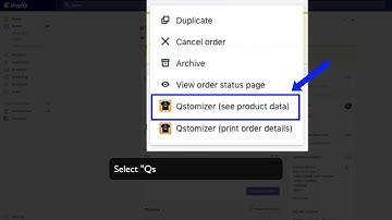 Where to find the customization information (customization order) in Qstomizer.