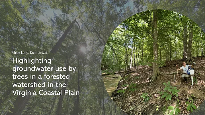 Chloe Lund's Highlighting groundwater use by trees...