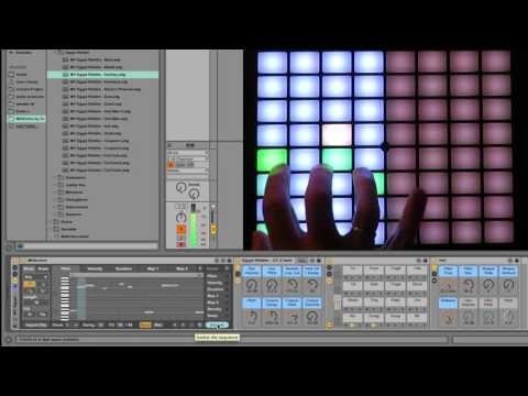 MidiVolve Tutorial 3 - Euclidian Riddim