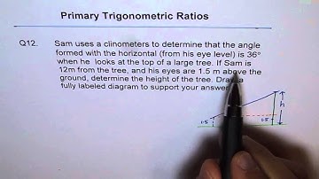 Find Height of Tree Trig Ratio Application Q12