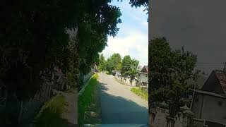 youk gacor #shorts #short