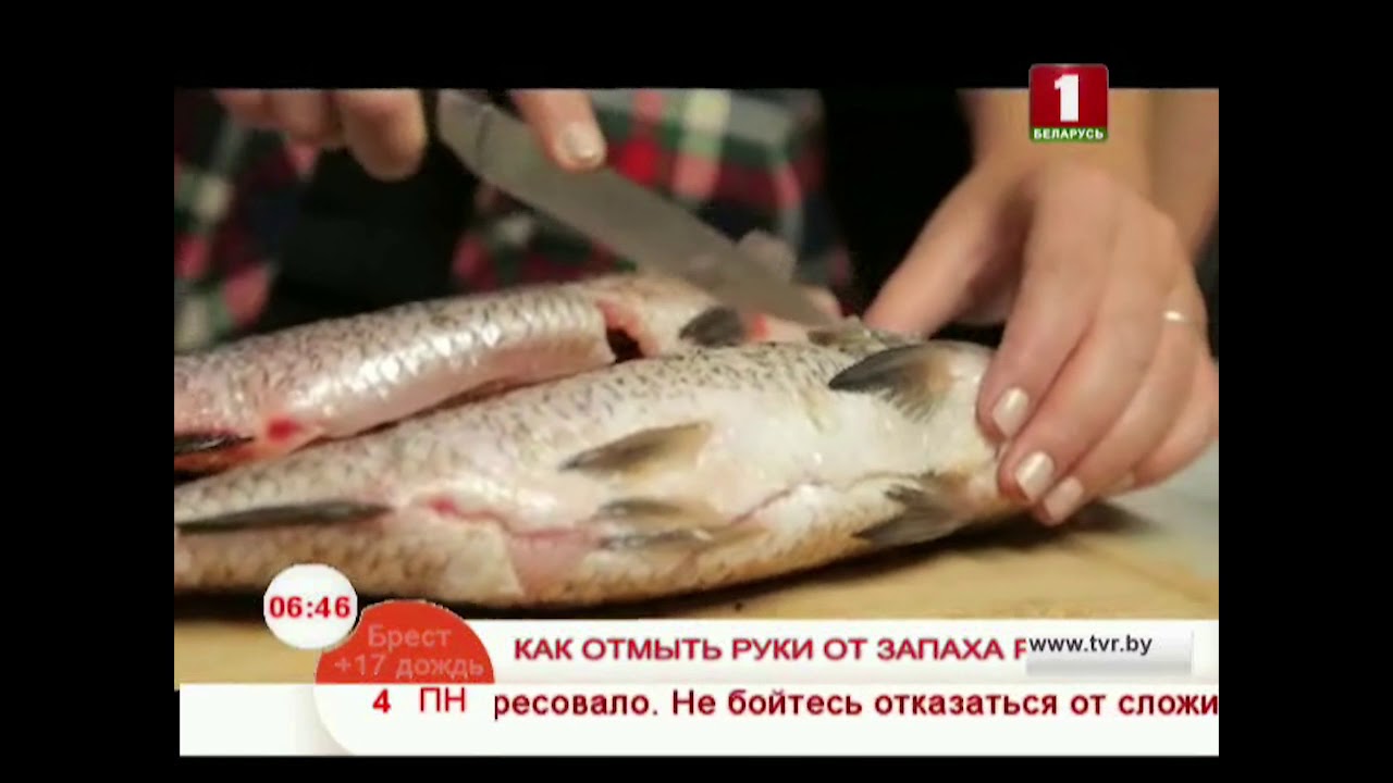 Как избавиться от запаха рыбы. Как избавиться от запаха рыбы на руках. Почему руки воняют рыбой. Рыба воняет что делать