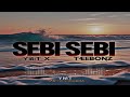 SEBI SEBI 2025 YMT X TEEBONZ YMT PRODUCTION SEBI SEBI 2025 YMT X TEEBONZ YMT PRODUCTION