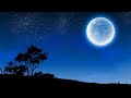 рџ рџ рџЋ Hojat Ashrafzadeh Mah O Mahi Ш Ш ШЄ Ш ШґШ ЩЃ ШІШ ШЇЩ Щ Ш Щ Щ Щ Ш Щ ЫЊ Moon And Fish Great Persian Song рџ рџ рџЋ Hojat Ashrafzadeh Mah O Mahi Ш Ш ШЄ Ш ШґШ ЩЃ ШІШ ШЇЩ Щ Ш Щ Щ Щ Ш Щ ЫЊ Moon And Fish Great Persian Song