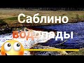 Саблино водопады / влог , прогулка с собакой. #ЛенинградскаяОбласть (4k)