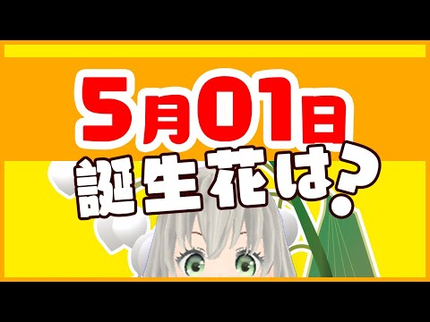 【花言葉】5月1日の誕生花は？／花白もか