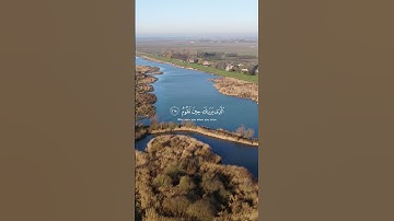 [وَتَوَكَّلْ عَلَى الْعَزِيزِ الرَّحِيمِ...] القارئ الشيخ  #وديع_اليمني