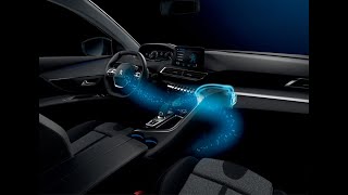 Citroen - Recharge De Parfumeur D'Ambiance InteGre Ou Nomade