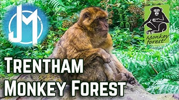 We went to Trentham Monkey Forest!!