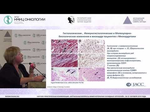Видео: Разлика между клетъчната стена и плазмената мембрана